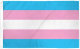 Transgender Flag