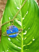 Space Galaxy pendant 